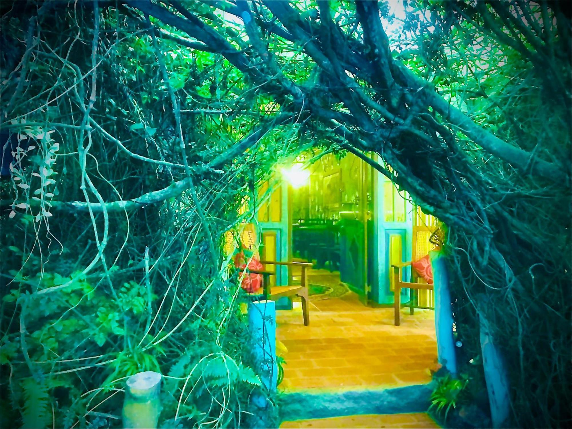 נוארה אליה Serendipity Lake Artistic Bungalow By Heidis Home מראה חיצוני תמונה